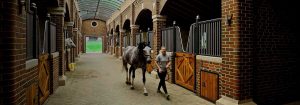 Bourne Hill Stables creates a safer environment with UV-C lighting